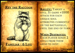 Rey the Raccoon